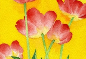 Open Tulips Redux