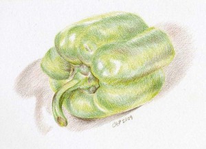 green pepper drawing