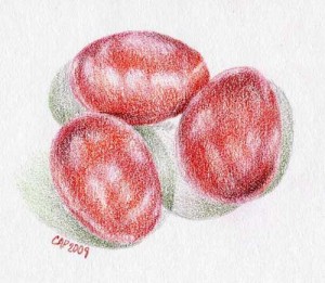 red eggs drawing