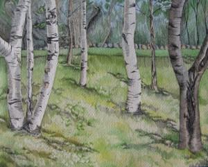 birch tree painting