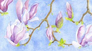 watercolor magnolia