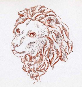 lion ink drawing