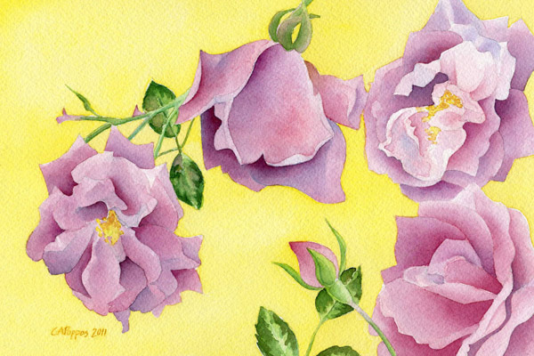 mauve floral watercolor roses