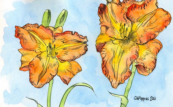 watercolor ink lily