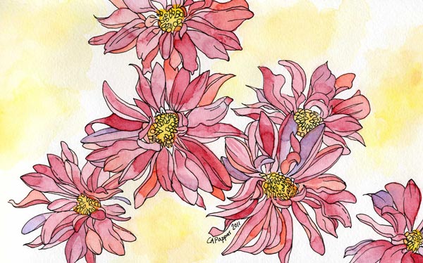 pink daisies watercolor