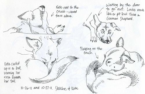 german shepherd sketches