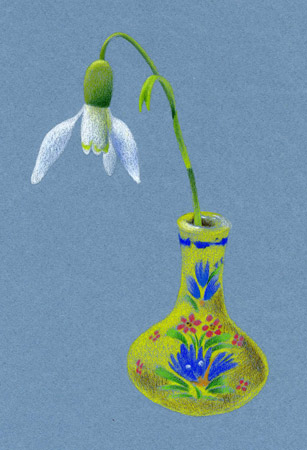 snowdrop flower