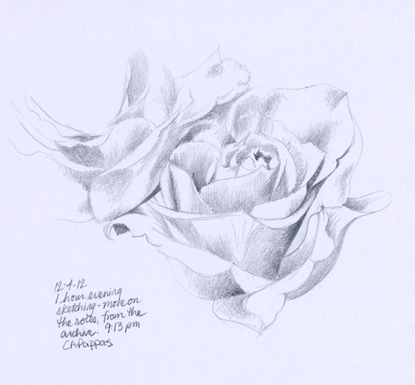 graphite rose sketch