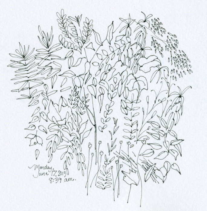 weeds sketch